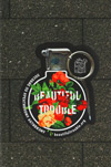 Beautiful Trouble